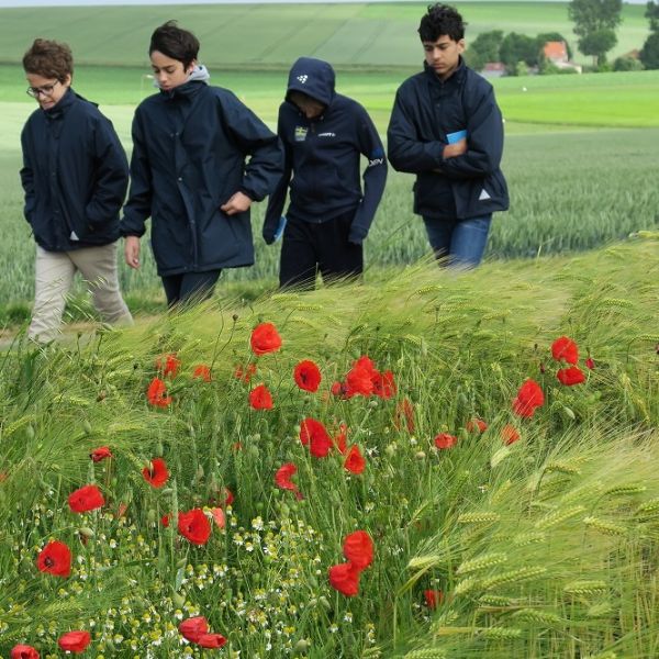 Scholars Somme Trip 2017